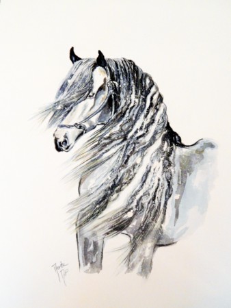 frison