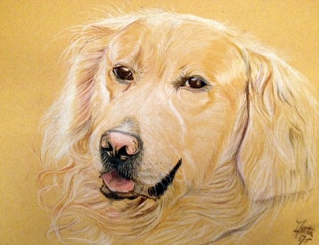 Cash mon chien 30 x 40 cm
