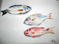 /album/aquarelles/dscn0350-1-jpg/