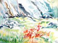 /album/aquarelles/photo-jpg/