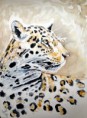 /album/aquarelles/puma-jpg/