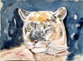 /album/aquarelles/img-6649-jpg/