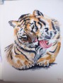 /album/aquarelles/img-6092-jpg/