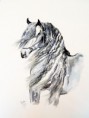 /album/aquarelles/dscn0920-jpg/